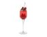 Wild Hibiscus Champagner Gelee