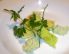 Avocadocreme mit Kohl- Karotten- Wrap
