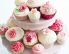 Cupcakes Toppings