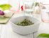 Bärlauchpesto