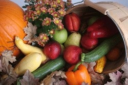 Was schmeckt Ihnen im Herbst besonders gut?