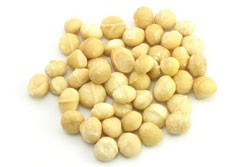 Macadamia