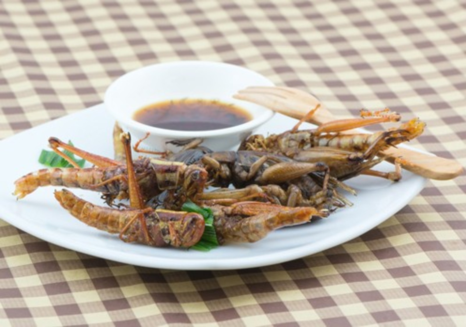 Insekten essen - Wie stehen Sie zu diesem Thema?