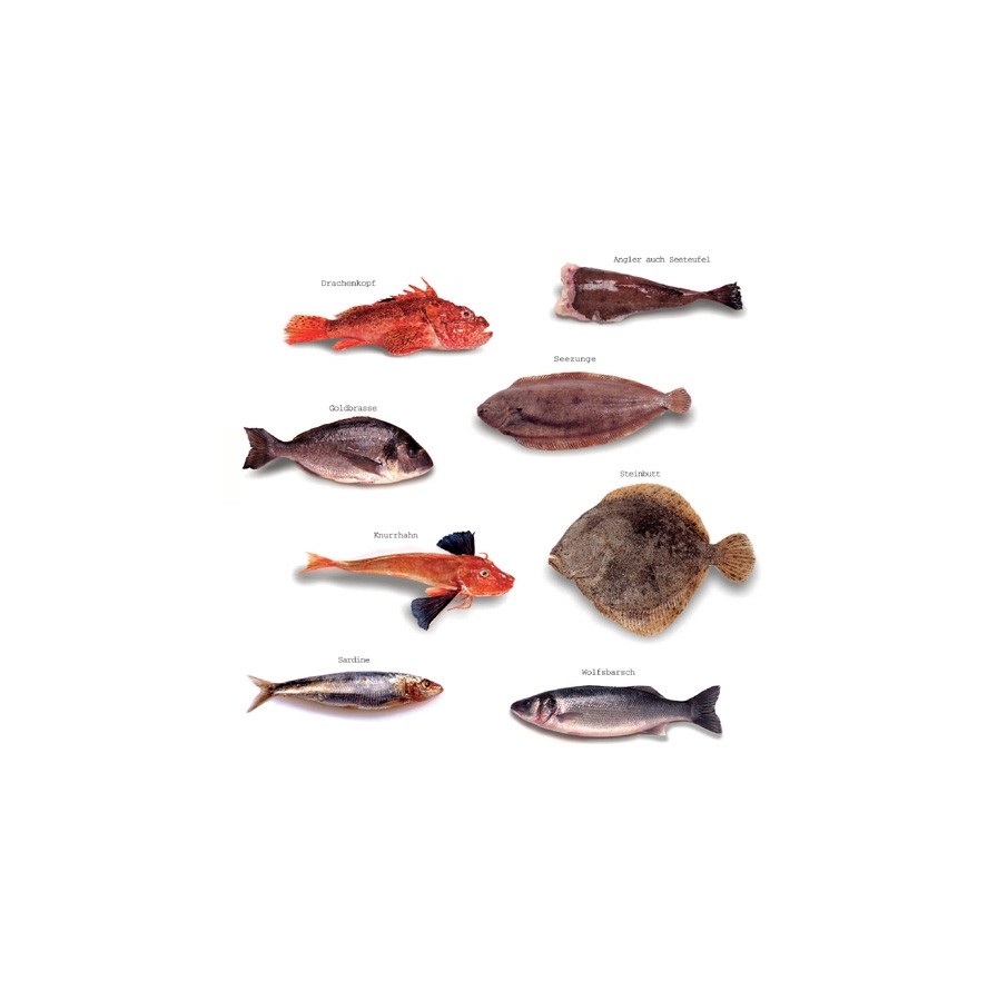 Fischarten der Meere