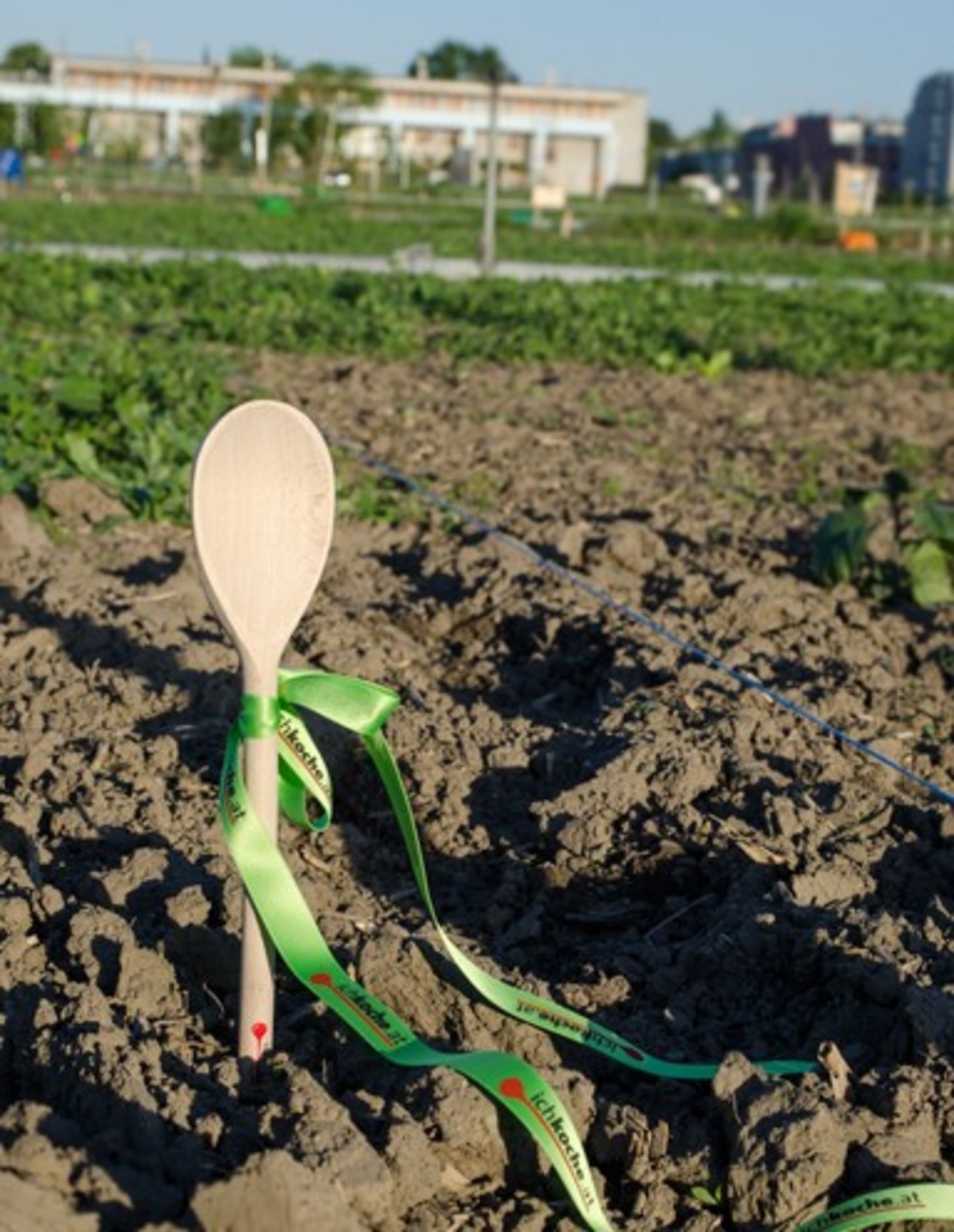 Erntefreuden am Biohof Radl