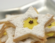 Beschwipste Weihnachtssterne
