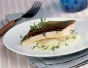 Saiblingsfilet auf Kohlrabi gedämpft