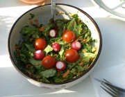 Pflücksalat mit Bärlauch