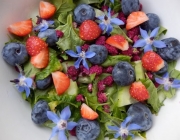 Erdbeerspinat-Blüten-Salat