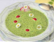 Radieschenblätter Suppe mit Gänseblümchen