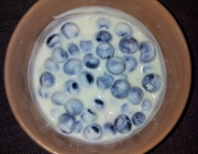 Heidelbeer-Vanille-Joghurt