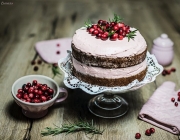 Naked Cake mit Cranberrys