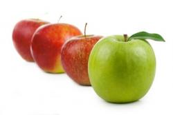 Apfelvielfalt - Äpfel kommen in vielen Varianten vor. 