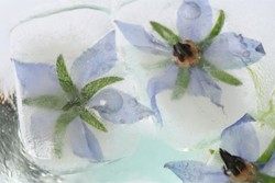 Blüten-Eiswürfel