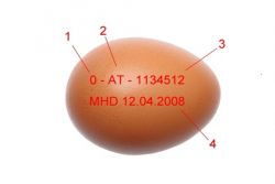 Was verrät die Kennzeichnung des Eies?