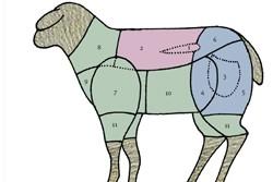 Die Fleisch-Teile vom Lamm