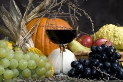 Kürbis und Wein - Herbstgenuss