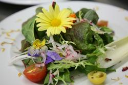 Sommerlicher Salat mit Blumen