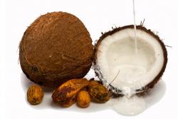 Kokosnuss und Kokosmilch