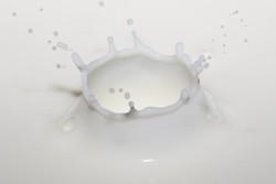 Milch kann krank machen - Lactoseintoleranz