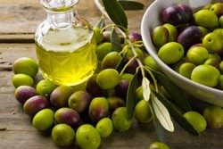 Reisetipp: Genuss- und Olivenölseminar am Gardasee