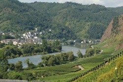 Weinregion Deutschland