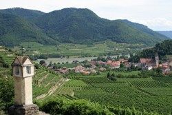 Österreichischer Wein  - Wachau