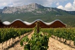 Weinregion Spanien