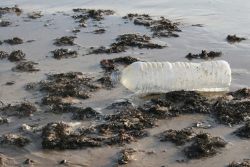 Brita - Vermeiden Sie Plastikmüll