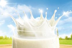 Das AMA-Gütesiegel setzt österreichischen Milchprodukten die Krone auf!