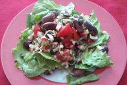 Salat mit Käferbohnen Tomaten und Radieschen