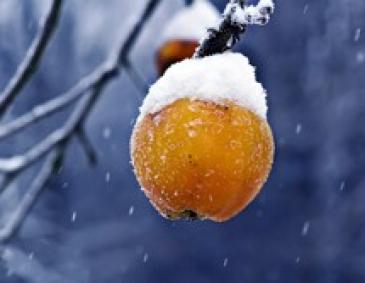 Kalt? Nass? Wetterfrust!