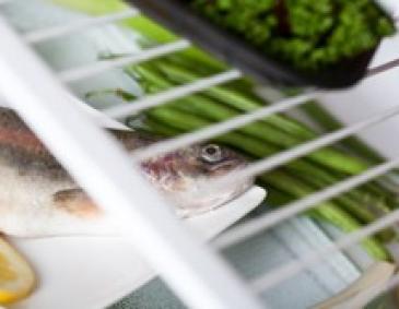 Lagerung von Fisch