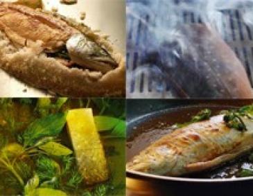 Grundzubereitungsarten von Fisch