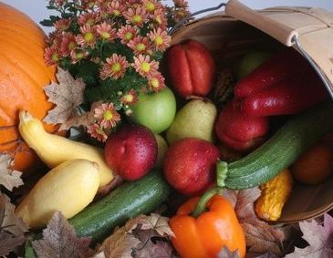 Variantenreich Essen im Herbst