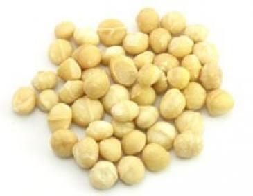 Macadamia