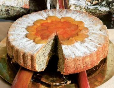 Rhabarberkuchen mit Kokos und Mohn