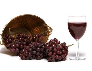 Kochen mit Wein 