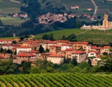 Weinregion Frankreich