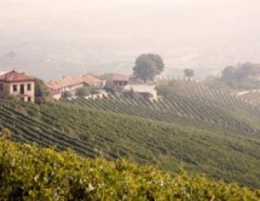 Weinregion Italien