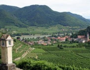 Weinregion Österreich
