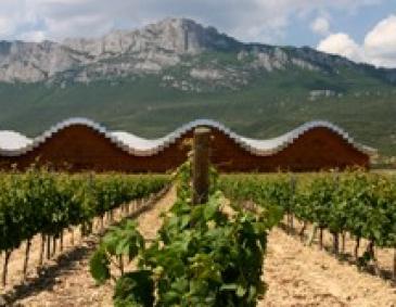 Weinregion Spanien