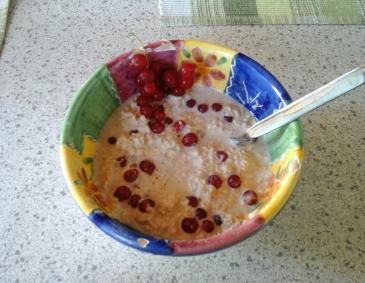 Ribisel-Porridge