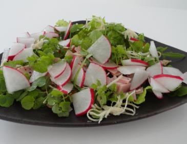 Salat mit Schinken