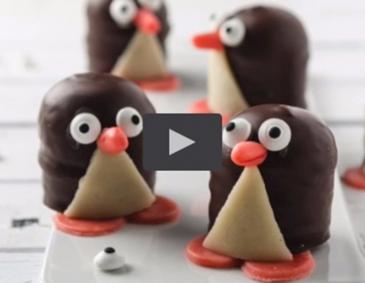 Video - Schwedenbomben-Pinguine