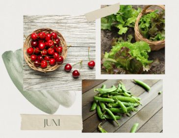 Das Küchengartenjahr im Juni