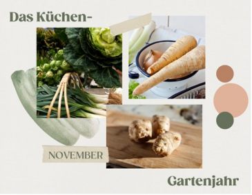 Das Küchengartenjahr im November
