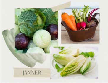 Das Küchengartenjahr im Jänner und passende Rezepte