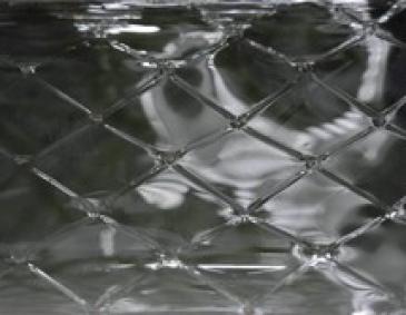 Die schöne Gelatine