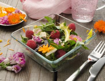 Schon einmal mit Blumen gekocht?